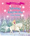 Sekretna księżniczka i inne baśnie - Opracowanie Zbiorowe