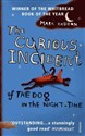 The Curious Incident of the Dog in the Night - Mark Haddon - Polish Bookstore USA