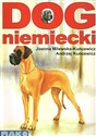 Dog niemiecki  