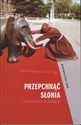 Przepchnąć słonia czyli słów kilka dla twardzieli... Bookshop