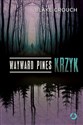 Wayward Pines. Krzyk  