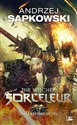 Sorceleur T5: Le Bapteme du feu Wiedźmin Chrzest Ognia przekład francuski  