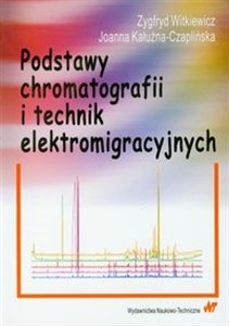 Podstawy chromatografii i technik elektromigracyjnych bookstore