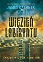 Więzień Labiryntu pl online bookstore