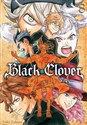 Black Clover. Tom 8  Canada Bookstore