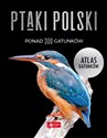 Ptaki Polski Atlas gatunków in polish