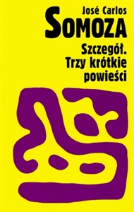 Szczegół. Trzy krótkie powieści chicago polish bookstore