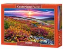 Puzzle 1000 Northern Palette C-103539 Bookshop