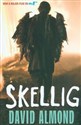 Skellig buy polish books in Usa