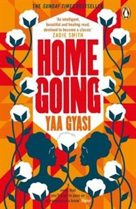 Homegoing in polish