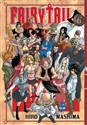 Fairy Tail. Tom 6 