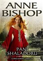 Czarne kamienie 8 Pani Shaladoru - Anne Bishop