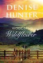 Wodospad Wildflower - Denise Hunter
