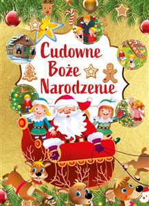 Cudowne Boże Narodzenie polish books in canada