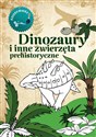Dinozaury. Kolorowanka polish books in canada