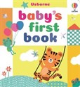 Baby's First Book buy polish books in Usa
