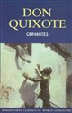 Don Quixote buy polish books in Usa