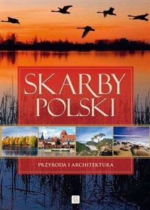 Skarby Polski chicago polish bookstore