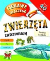 Ciekawe dlaczego zwierzęta zadziwiają Zadania i naklejki - Opracowanie Zbiorowe