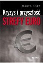 Kryzys i przyszłość strefy euro chicago polish bookstore