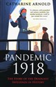 Pandemic 1918 The Story of the Deadliest Influenza in History polish books in canada