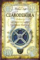 Czarodziejka Sekrety nieśmiertelnego Nicholasa Flamela - Michael Scott