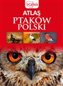 Atlas ptaków Polski 