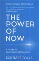 The Power of Now A Guide to Spiritual Enlightenment  