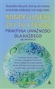 Mindfulness Żyj tu i teraz Praktyka uważności dla każdego (bez medytacji) books in polish