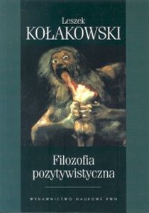 Filozofia pozytywistyczna polish usa