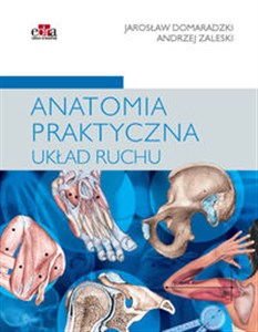 Anatomia praktyczna Układ ruchu online polish bookstore