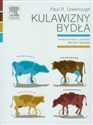 Kulawizny bydła  