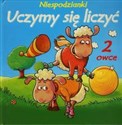 Niespodzianki Uczymy sie liczyć pl online bookstore