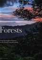 Forests polish books in canada