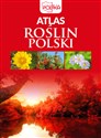 Atlas roślin Polski 