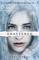 Shattered - Polish Bookstore USA