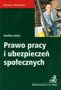 Prawo pracy i ubezpieczeń społecznych polish books in canada