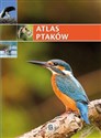 Atlas ptaków  
