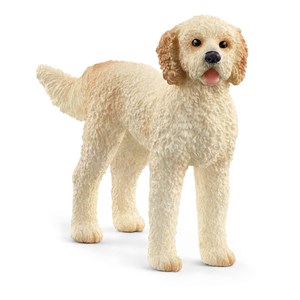 Goldendoodle SLH13939 bookstore