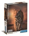 Puzzle 1000 compact tiger - 
