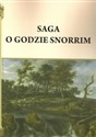Saga o Godzie Snorrim - Henryk Pietruszczak