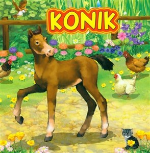 Konik Polish bookstore