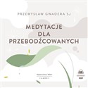 [Audiobook] Medytacje dla przebodźcowanych - Przemysław Gwadera
