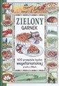 Zielony garnek 600 przepisów kuchni wegetariańskiej prosto z Włoch  