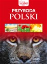 Przyroda Polski to buy in Canada