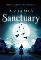 Sanctuary - V.V. James