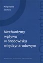 Mechanizmy wpływu w środowisku międzynarodowym  