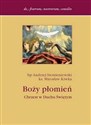 Boży płomień Chrzest w Duchu Świętym  