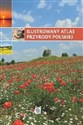 Ilustrowany atlas przyrody polskiej to buy in Canada
