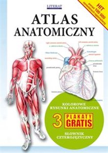 Atlas anatomiczny  online polish bookstore